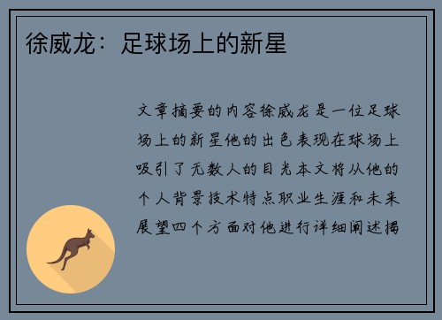 徐威龙：足球场上的新星