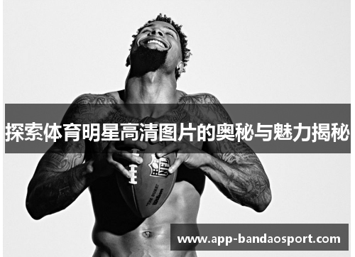 探索体育明星高清图片的奥秘与魅力揭秘