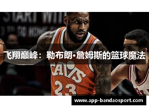 飞翔巅峰：勒布朗·詹姆斯的篮球魔法