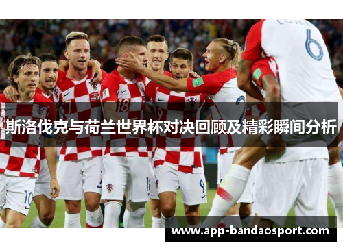 斯洛伐克与荷兰世界杯对决回顾及精彩瞬间分析